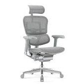 Ортопедическое кресло Falto Ergohuman 2 Elite Серое